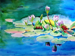 lily pond